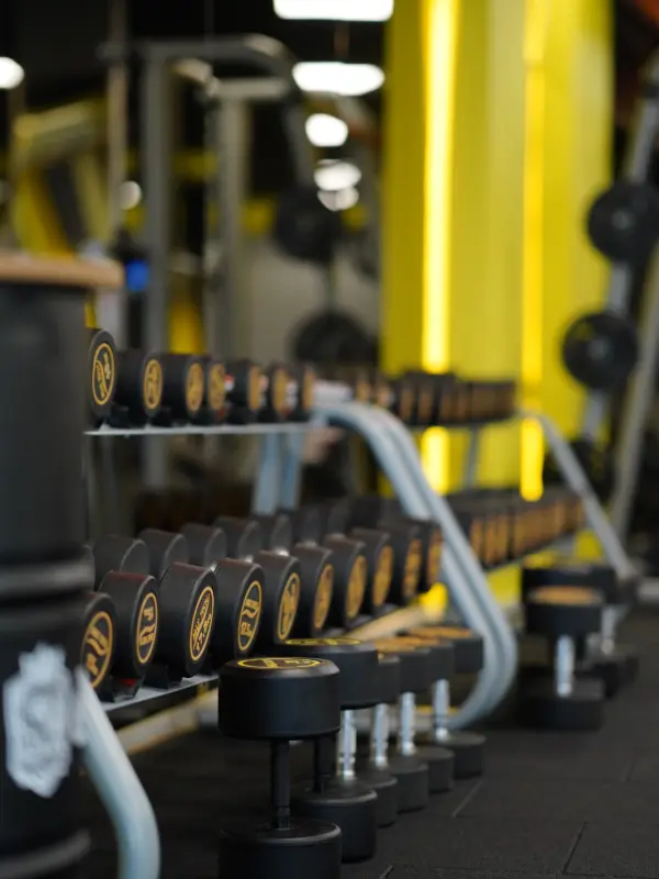 Özkan GYM Club Serbest Ağırlık Bölümü