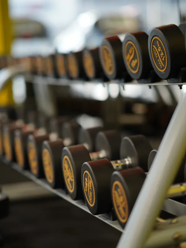 Torbalı Fitness Salonu Dambıl Rafı